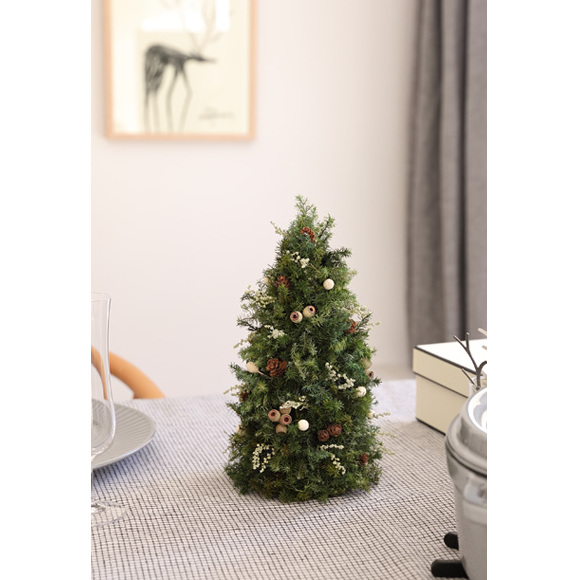 フォレストツリー【クリスマス限定！申込は11月30日まで】
