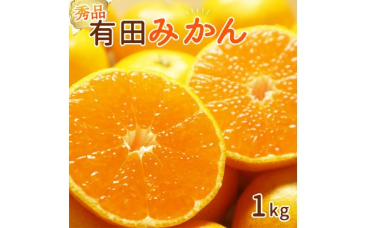 
                  【2026年先行予約】和歌山県産 有田みかん 約1kg 【秀品】 (サイズおまかせ)_DI6061
                