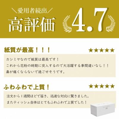 ふるさと納税 福知山市 【ボックスティッシュ】　スコッティ　カシミヤ　10箱　K03 |  | 03