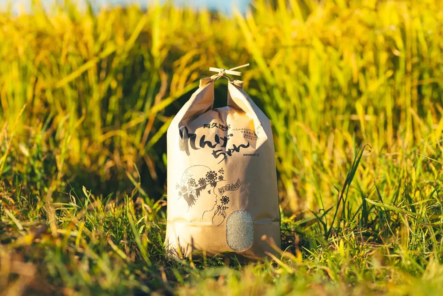 【令和7年度産】阿久比米れんげちゃんコシヒカリ　計10kg（5kg×2袋）｜米 阿久比町