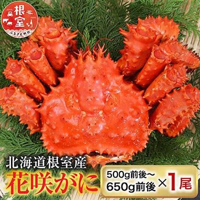 ふるさと納税 根室市 ＜12/21まで年内配送＞★花咲かに500g前後〜650g前後×1尾 A-36054