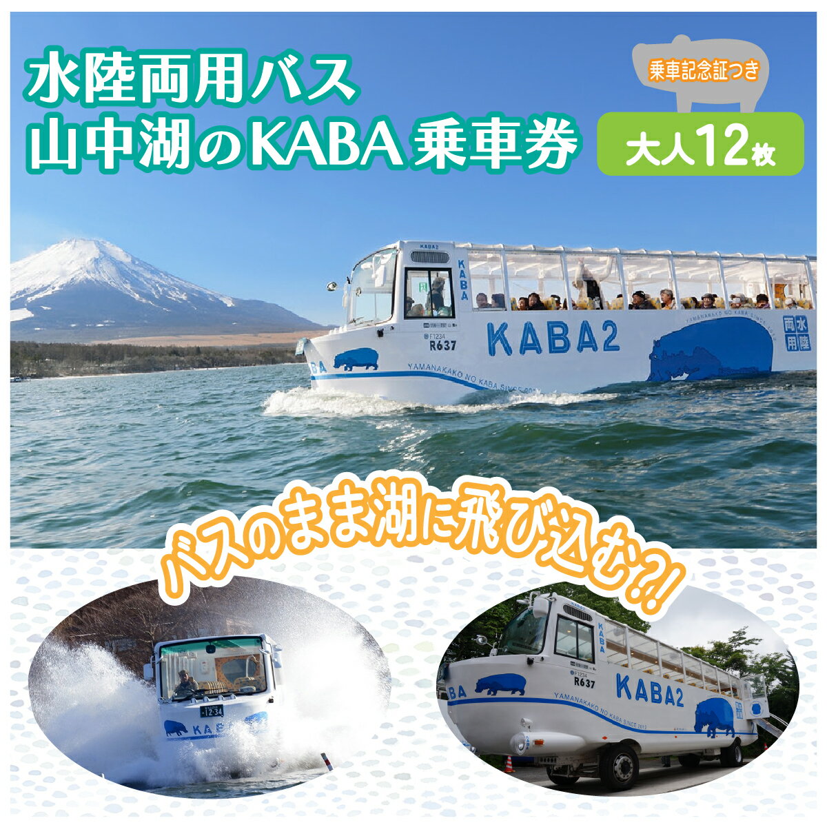 【ふるさと納税】＜水陸両用KABAバス＞　陸と湖から大自然を五感で体感！一度は乗ってみたい水陸両用バス　乗車券（大人用12枚）