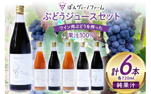 【純果汁】 ワイン用 ぶどうジュース 6本セット [ぼんヴィーノファーム 長野県 池田町 48110735] 葡萄 ブドウ ストレート ギフト 純果汁 果汁 100