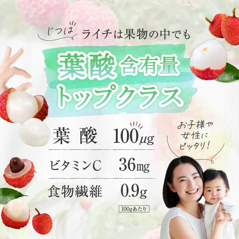 【先行予約】希少 綾生ライチ 2箱セット（化粧箱入り） / 宮崎県産 ライチ 国産【JA綾町】_A0114-237