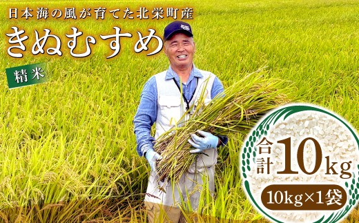 
                  【数量限定】日本海の風が育てた北栄町産きぬむすめ 精米 10kg
                