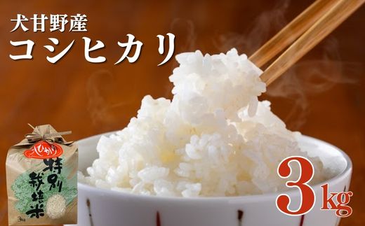 令和7年産 犬甘野産 コシヒカリ 3kg 京都丹波 白米 産地直送 人気