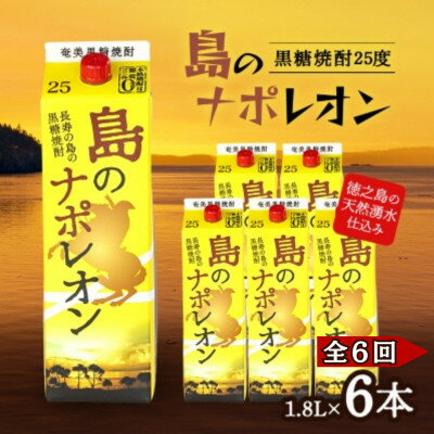 【ふるさと納税】【毎月定期便】奄美黒糖焼酎 島のナポレオン 1,800ml 紙パック 6本セット全6回【4074157】