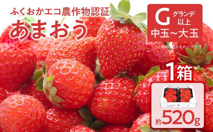 ふくおかエコ農作物認証あまおう G以上 1箱セット あまおう イチゴ 苺 いちご フルーツ 果物 くだもの 福岡県産 お取り寄せグルメ お取り寄せ 福岡 お土産 九州 福岡土産 取り寄せ グルメ 福岡