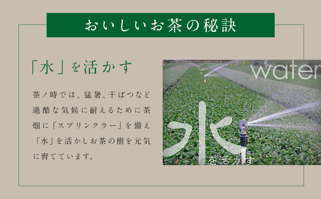 八女茶 ティーバッグ 5種類×各1袋 セット 煎茶 玉露 ほうじ茶 和紅茶 玄米茶