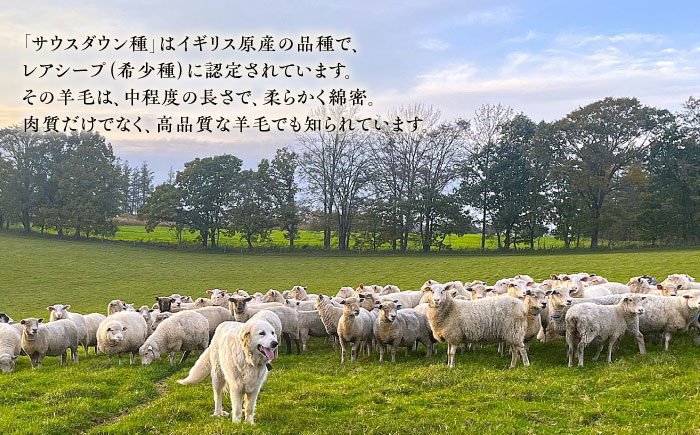 希少 羊毛100％使用 職人手作りの羊毛敷き布団（シングル）《足寄町》【石田めん羊牧場】布団 敷き布団 敷布団 ふとん 羊 羊毛 羊毛100% 寝具 シングル 手作り あしょろ 北海道 [BEAD00