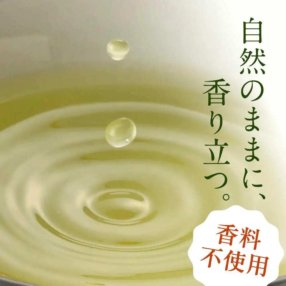 【12回定期便】緑茶ペットボトル 500ml×24本入/ 白川園本舗[AWAT008]緑茶