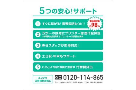 エコリカ　ブラザー用 LC3117-4PK互換リサイクルインク　ECI-BR3117-4P