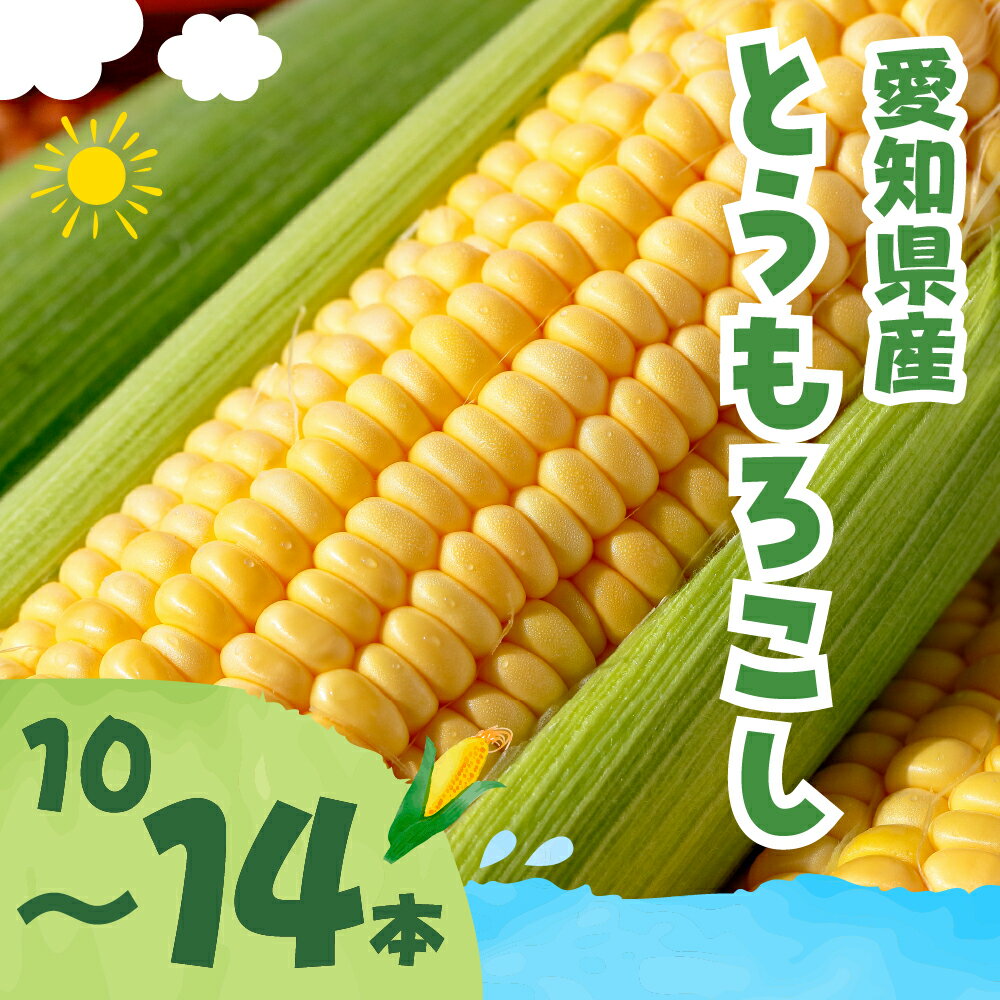 【ふるさと納税】≪先行予約≫とうもろこし 訳あり 10本 ~ 14本 甘い 高糖度 トウモロコシ もろこし サラダ 野菜 旬 わけあり ワケアリ 規格外 国産 送料無料 15000円 6月 7月 8月 お取り寄せ 人気 鮮度 新鮮 生 糖度 愛知県 豊橋市