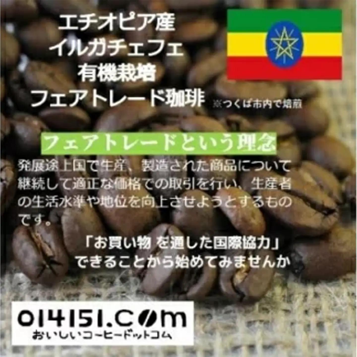 コーヒー豆＜のし付＞つくばで焙煎 エチオピア イルガチェフェ 200g×2種 飲み比べ 缶入り コーヒー