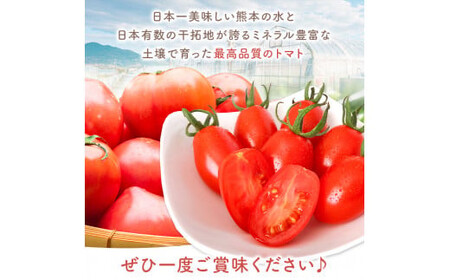 ミニトマト生産量 日本一 玉名市 !！ 「 トマ・ランタン 」 約 2kg ミニトマト トマト Vege Rise 