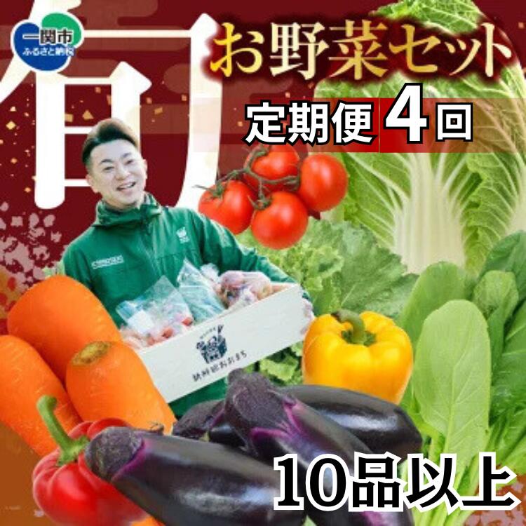 【ふるさと納税】野菜 定期便 4回 お楽しみ 野菜セット 旬 新鮮 詰め合わせ セット ギフト 直送 農家 夏野菜 おまかせ お取り寄せ 産直直送 産直 秋 冬 サラダ 詰合せ 4times