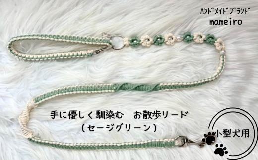 8-019-003　小型犬用 手にやさしくなじむお散歩リード（セージグリーン）