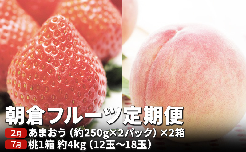 定期便 フルーツ2回 限定 数量 いちご約1kg もも約4kg フルーツ定期便 朝倉 2024年発送 お届け 桃 モモ イチゴ あまおう 果物 くだもの デザート オンライン決済限定 配送不可：離島