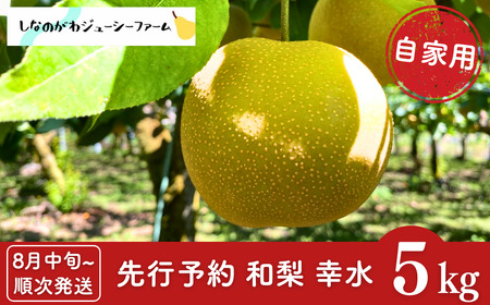先行予約 和梨 幸水 自家用 約5kg [8月中旬から発送予定] 新潟県 三条市産 梨 訳あり [しなのがわジューシーファーム]【010S478】
