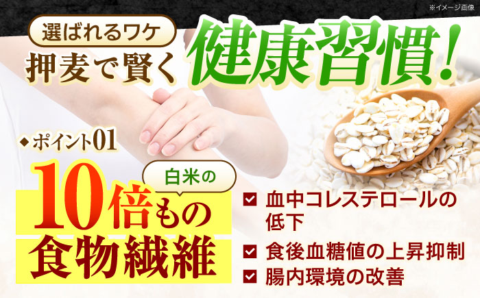 【全12回定期便】 押麦「長崎100年麦 御島裸」1kg×10袋 計10kg / 麦 むぎ 押麦 はだか麦 麦味噌 雑穀 雑穀米 食物繊維 小分け 長崎県産 米 こめ コメ ※ / 諫早市 / 有限会