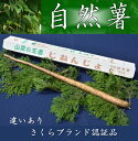 さくらブランド認証品　えみの自然薯　1本（700g以上）山芋 とろろ 国産 健康※2023年11月下旬頃より順次発送予定