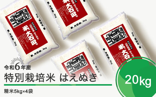 新米 令和7年3月下旬発送 はえぬき20㎏ 精米 令和6年産 ja-hasxb20-3s