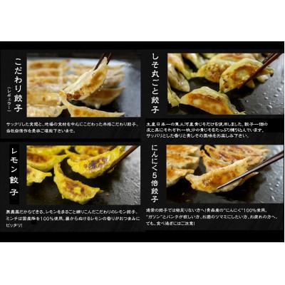 ふるさと納税 豊橋市 【国産】餃子4種食べ比べセット |  | 01