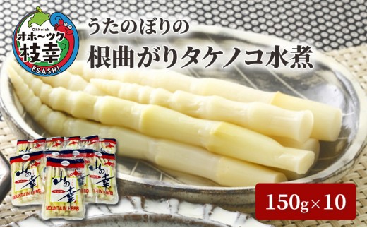 
うたのぼりの根曲がりタケノコ水煮150g×10【オホーツク枝幸】
