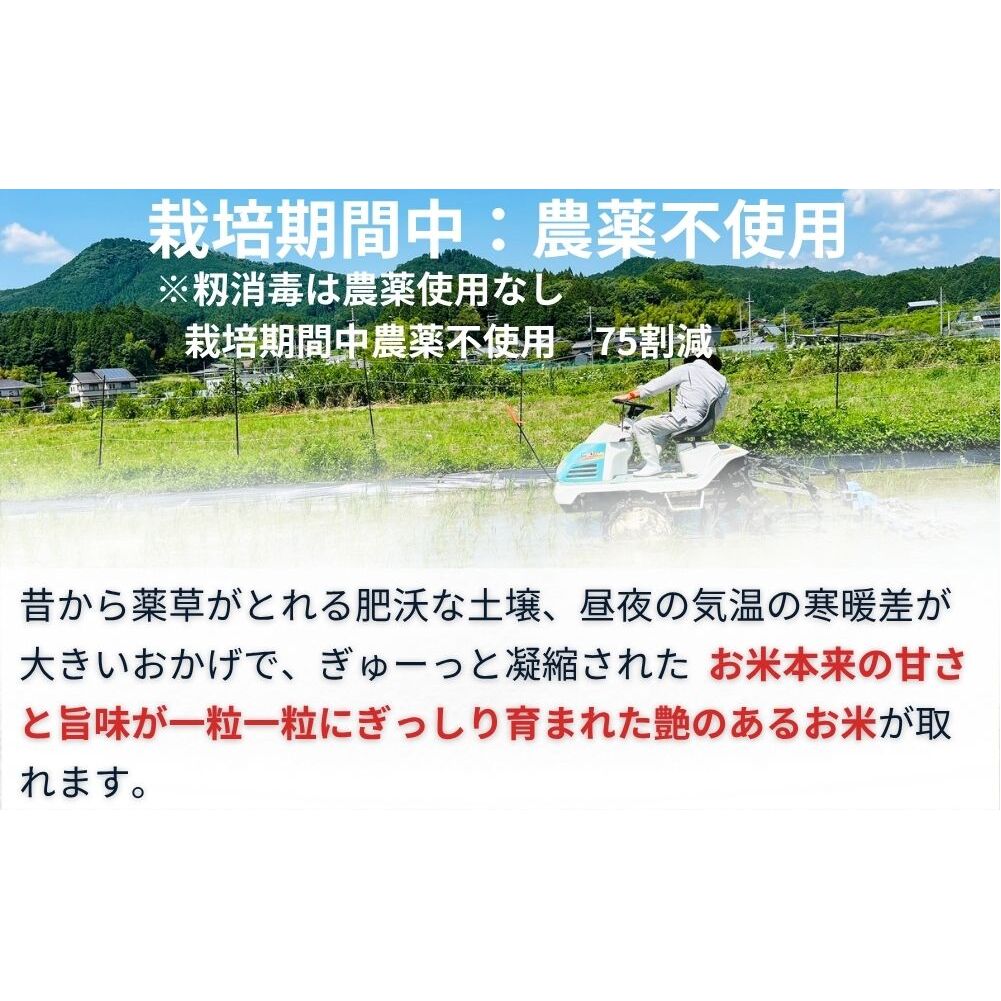 ひとめぼれ 低農薬栽培＜令和7年産 玄米 5kg ＞ / ふるさと納税 低農薬 米 お米 こめ コメ 国産 新米 玄米 一等米 農家やまおか 奈良県 宇陀市陀市 ふるさと納税_イメージ3