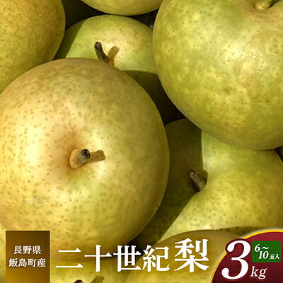 【ふるさと納税】二十世紀梨 3kg 長野県飯島町産【1631967】