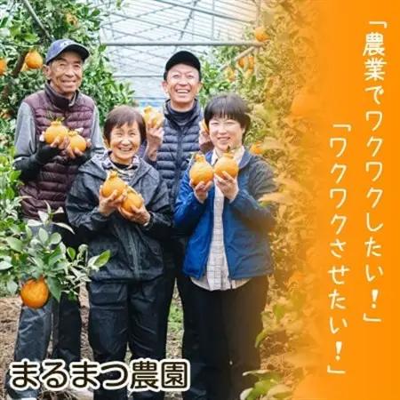 【2027年3月～5月発送】採れたて新鮮 濃厚な甘さ 超熟しらぬい 2kg 農家直送 和歌山県産【1545879】