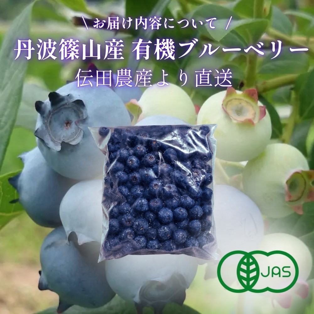 有機JAS〈無農薬〉ブルーベリー1kg 冷凍 オーガニック フルーツ 果物 国産 兵庫県丹波篠山市 ベリー類 デザート