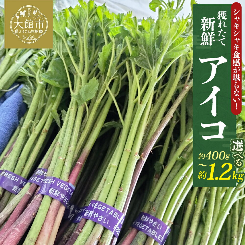 【ふるさと納税】【選べる内容量！】アイコ（ミヤマイラクサ） 約400～1200g 秋田の山菜 【60P3227・120P3202・180P3203】 あいこ 山菜 野菜 秋田県 大館市 ひない渡辺農園しどけ村