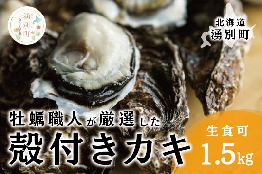 
            [№5930-0336]<先行予約2025年11月中旬から発送>牡蠣職人が厳選した殻付きカキ 1.5kg（生食可）牡蠣　かき　カキ　海鮮　魚介　国産　殻付き　冷蔵　焼き牡蠣　蒸し牡蠣　産地直送　生牡蠣　生食　サロマ湖　オホーツク　北海道　湧別町
          