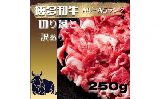 【定期便全12回】【訳あり】【A4〜A5ランク】博多和牛 切り落とし 250g