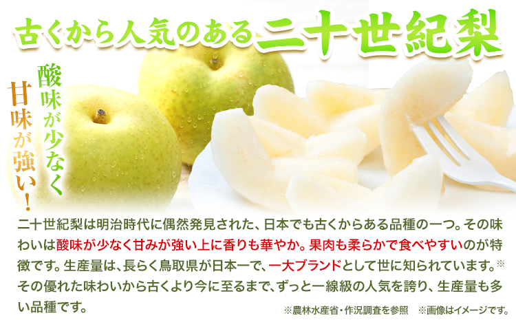 梨 なし【2026年先行予約】【秀品(赤秀)】二十世紀梨 約5kg《2026年8月下旬-9月下旬頃出荷》鳥取県 八頭町 梨 なし 果物 フルーツ 特産品 秀品 赤秀 贈答用 先行予約 送料無料 果汁 