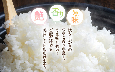 令和6年産 米 5kg 精米 コシヒカリ 福井県産《14日以内に出荷予定》【白米 5キロ こしひかり お米 ごはん 人気品種 産地直送 新生活 kome】 [e66-a004]