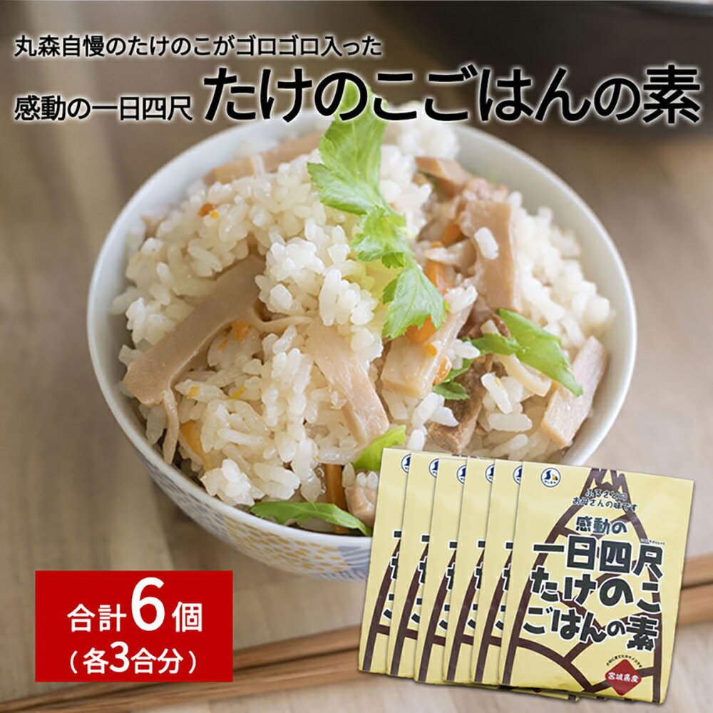 【ふるさと納税】たけのこごはんの素3合×6個セット｜丸森自慢のたけのこ 具材ゴロゴロ パウチ 炊き込みご飯 炊込み 手軽 筍 ご飯 人気 簡単 常温保存【08106】