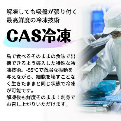 ふるさと納税 海士町 朝どれ寒シマメ 1.0kg以上 3〜4杯　いか　イカ　スルメイカ　 |  | 03