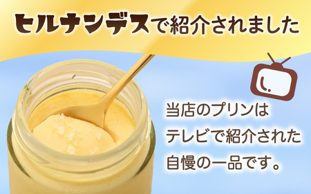 【全12回定期便】ごとうで食べる塩プリン6個 椿スプーン付き[RBA050] プリン スイーツ 塩 定期便 プリン スイーツ 塩 定期便 プリン スイーツ 塩 定期便 プリン スイーツ 塩 定期便九州