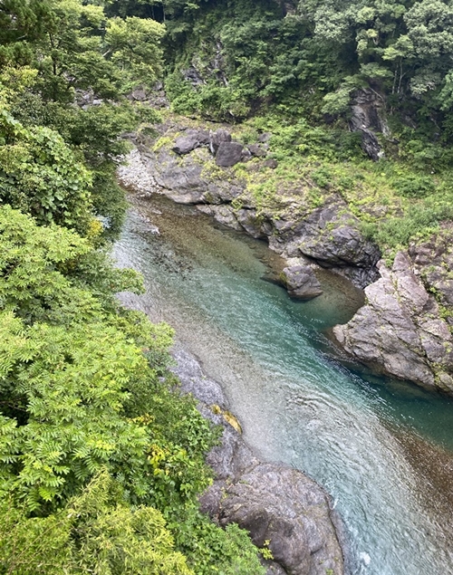 （冷蔵）　鮎　約1kg／大森水産　あゆ　お取り寄せグルメ　川魚　和食　三重県　大台町