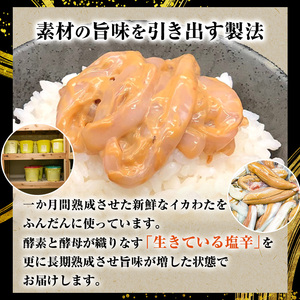塩辛 エコパック 昭和の塩辛 80g×5袋 セット 珍味 無添加 海産物 海鮮 魚介類 魚介 いか イカ いか塩辛 詰め合わせ ご飯のお供 おつまみ おつまみセット 加工食品 惣菜 冷凍 青森県鰺ヶ沢