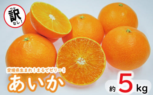 訳なし！ 高級 みかん あいか 愛果28号 約5kg ＜11月中旬～発送＞ 数量限定 愛媛産 愛媛県産 国産 高級 みかん ミカン mikan 蜜柑 愛果28号 柑橘 フルーツ 果物 くだもの お取り寄せ 人気 おすすめ 愛媛県 松山市 送料無料