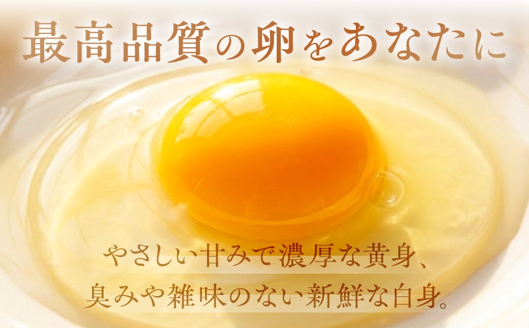 
                  産みたてたまご 30個 ( 割れ保証込み 25個 ＋ 5個 ) 卵 たまご ナガイタマゴ 鶏卵 卵かけごはん 海藻 エサ 赤玉 パック 赤鶏 卵かけご飯 玉子焼き 玉子 国産 新鮮 小分け パック ギフト
                