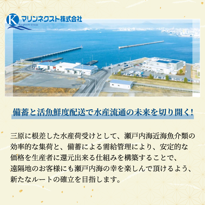 瀬戸内海の豪華な恵み！一夜干し・漬け魚おまかせセット（４～５パック） 魚 肴 おつまみ 海鮮 干物 車エビ 西京漬け 広島レモンサーモン 粕漬け 鯛 タイ ハモ カマス シズ 鱧 かます みそ漬け 味