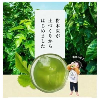 ふるさと納税 合志市 【毎月定期便】樹木医が育てた桑の葉茶(粉末)50g×1袋全12回 |  | 01