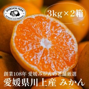 愛媛みかんの老舗厳選【愛媛県川上産 みかん3kg×2箱】新口農園【D70-32】【1536240】