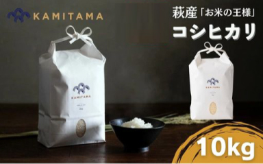 コシヒカリ 令和8年 10kg 米 コメ こめ 萩産 KAMITAMA 10kg×1
