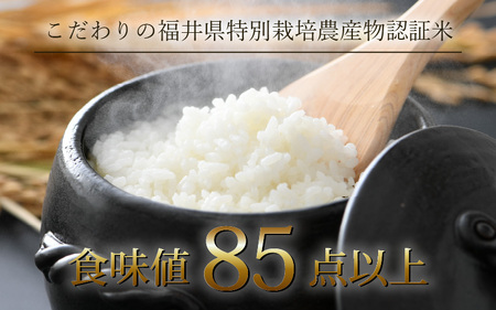 【先行予約】【令和7年産 新米】《定期便3回》コシヒカリ 精米 5kg （計15kg）特別栽培米 農薬不使用 化学肥料不使用 / 高品質 鮮度抜群 福井県産 ブランド米 ※2025年10月上旬以降順次