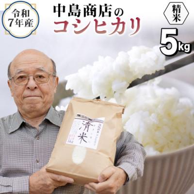 ふるさと納税 つくばみらい市 令和7年産 茨城県産 お米 こしひかり 5kg 精米